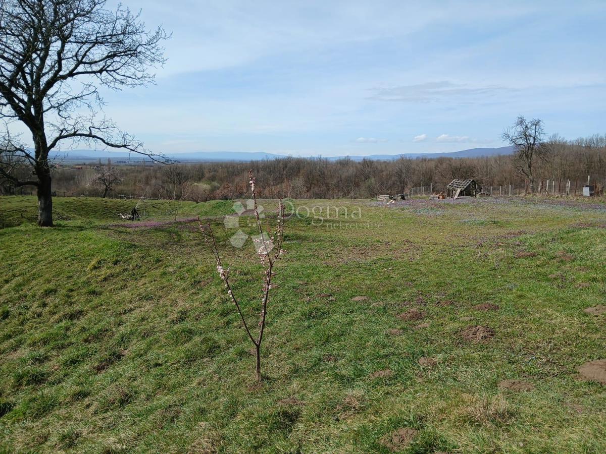 KUTJEVO
