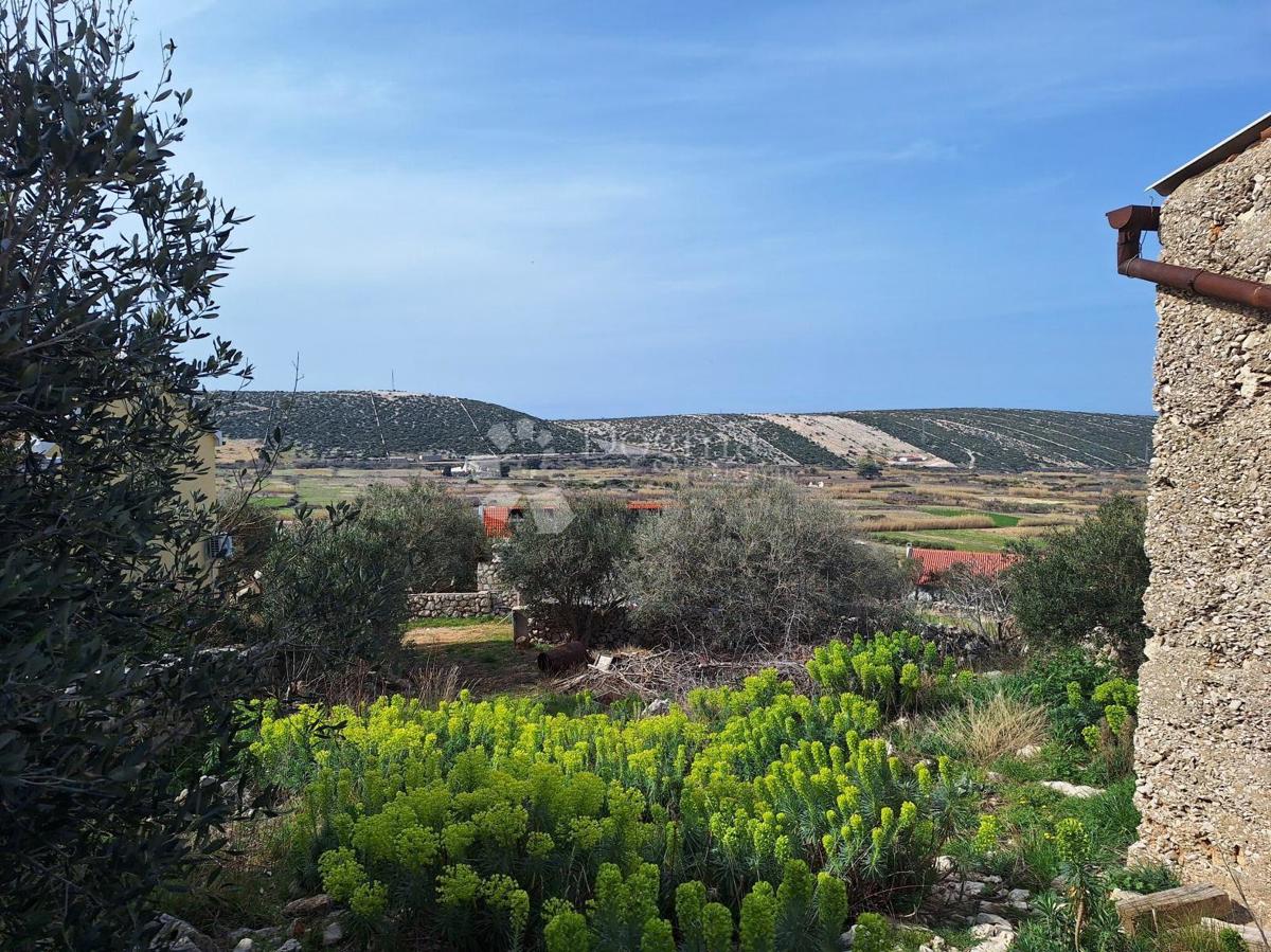 KOLAN