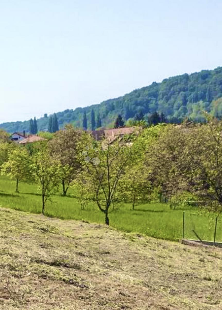 ČUČERJE