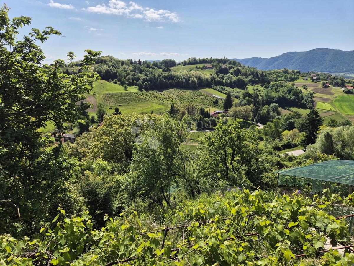 DONJI ŠKRNIK