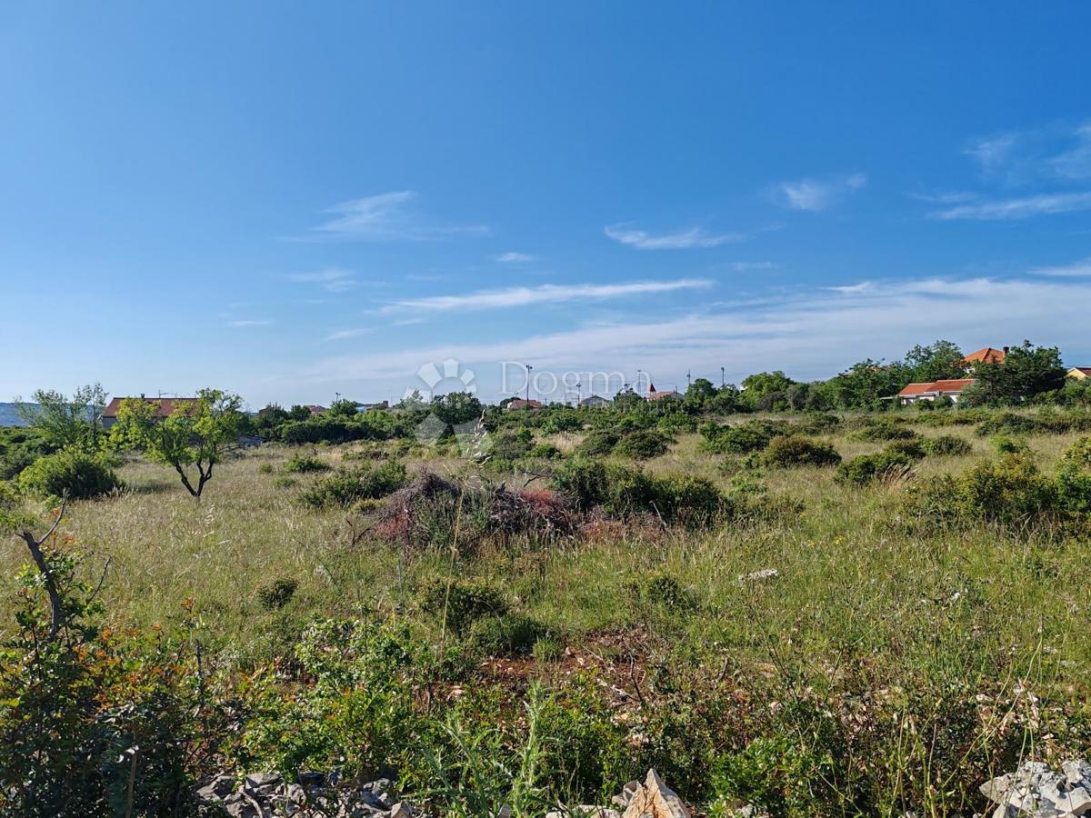 DEBELJAK