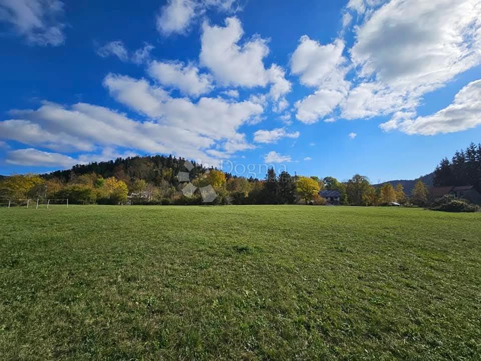 LIČ
