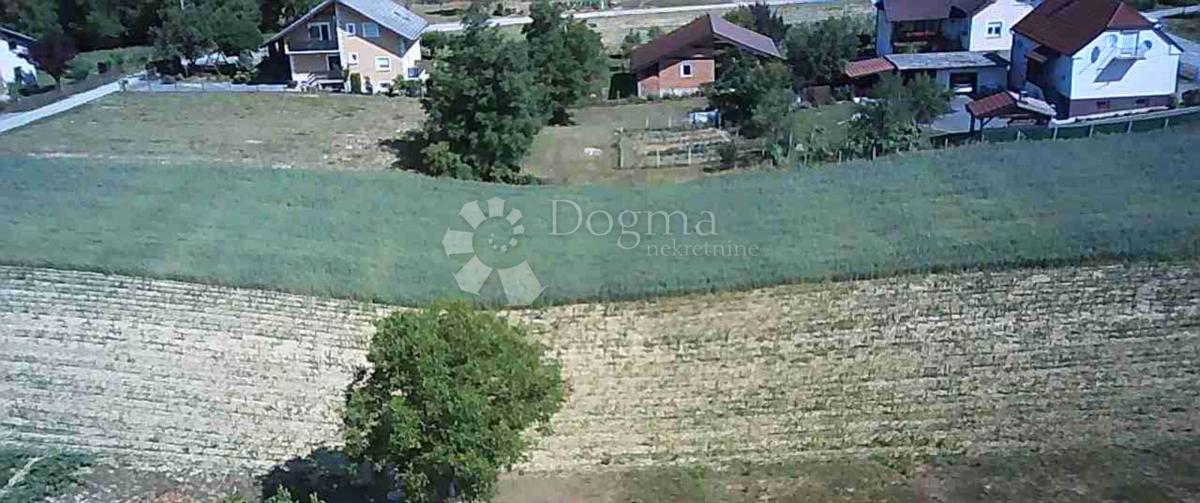 MARTINIŠĆE