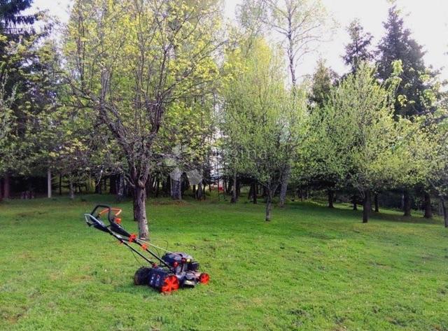 HLEVCI