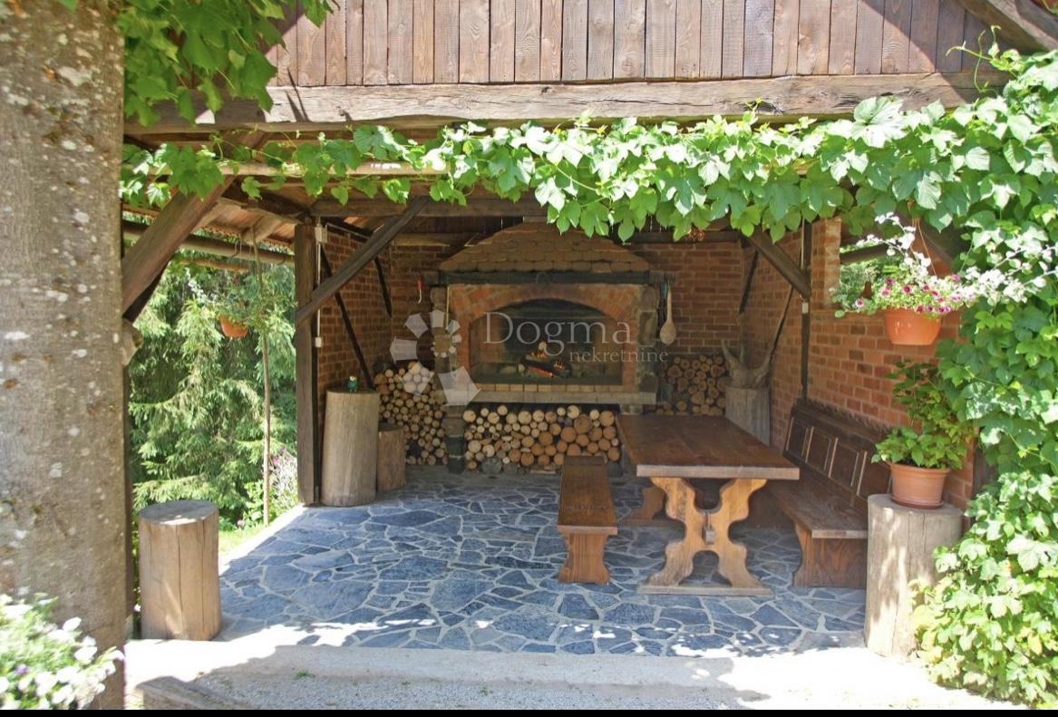 HLEVCI