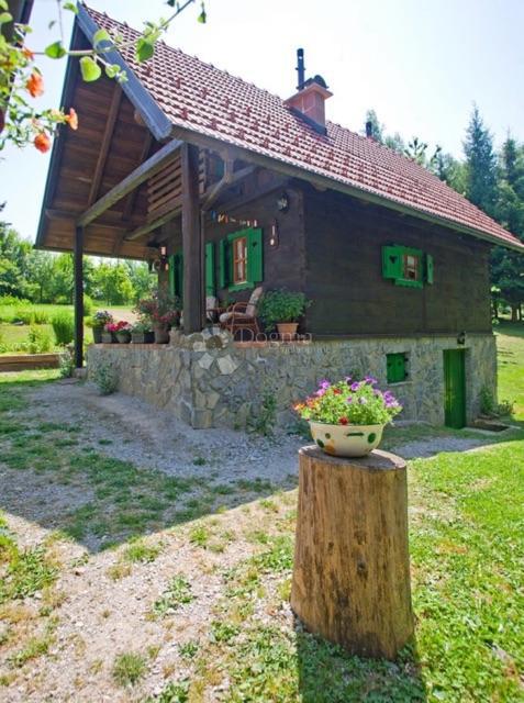 HLEVCI