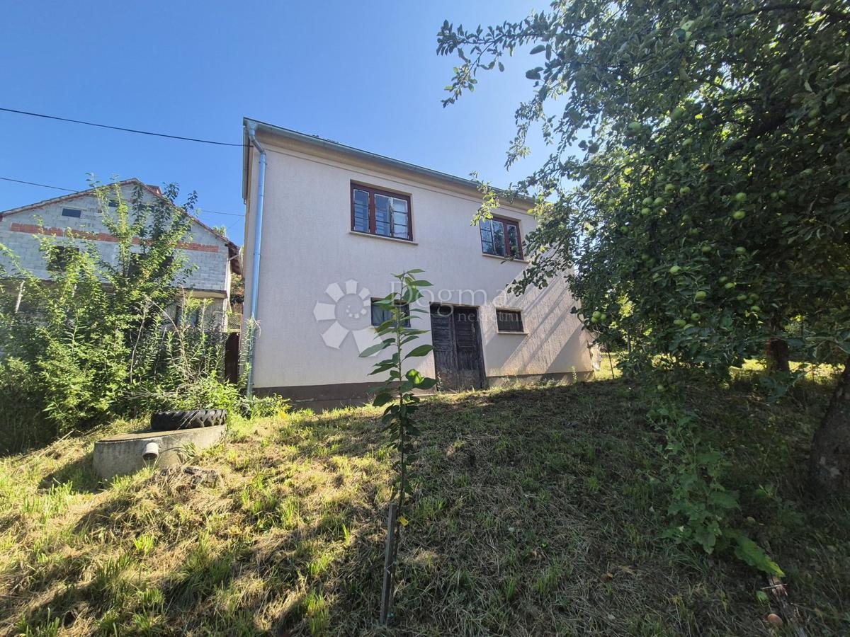 BUŠIN