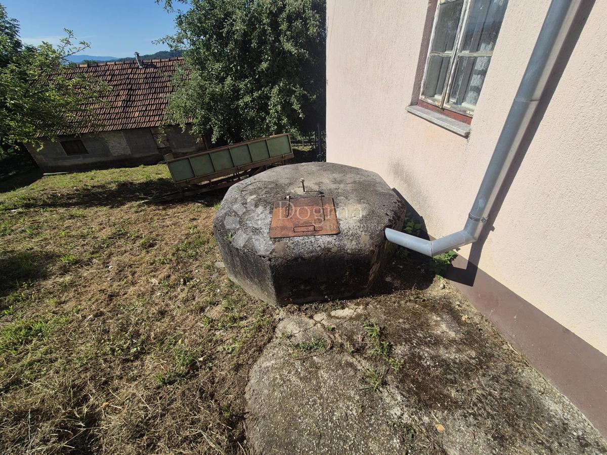 BUŠIN