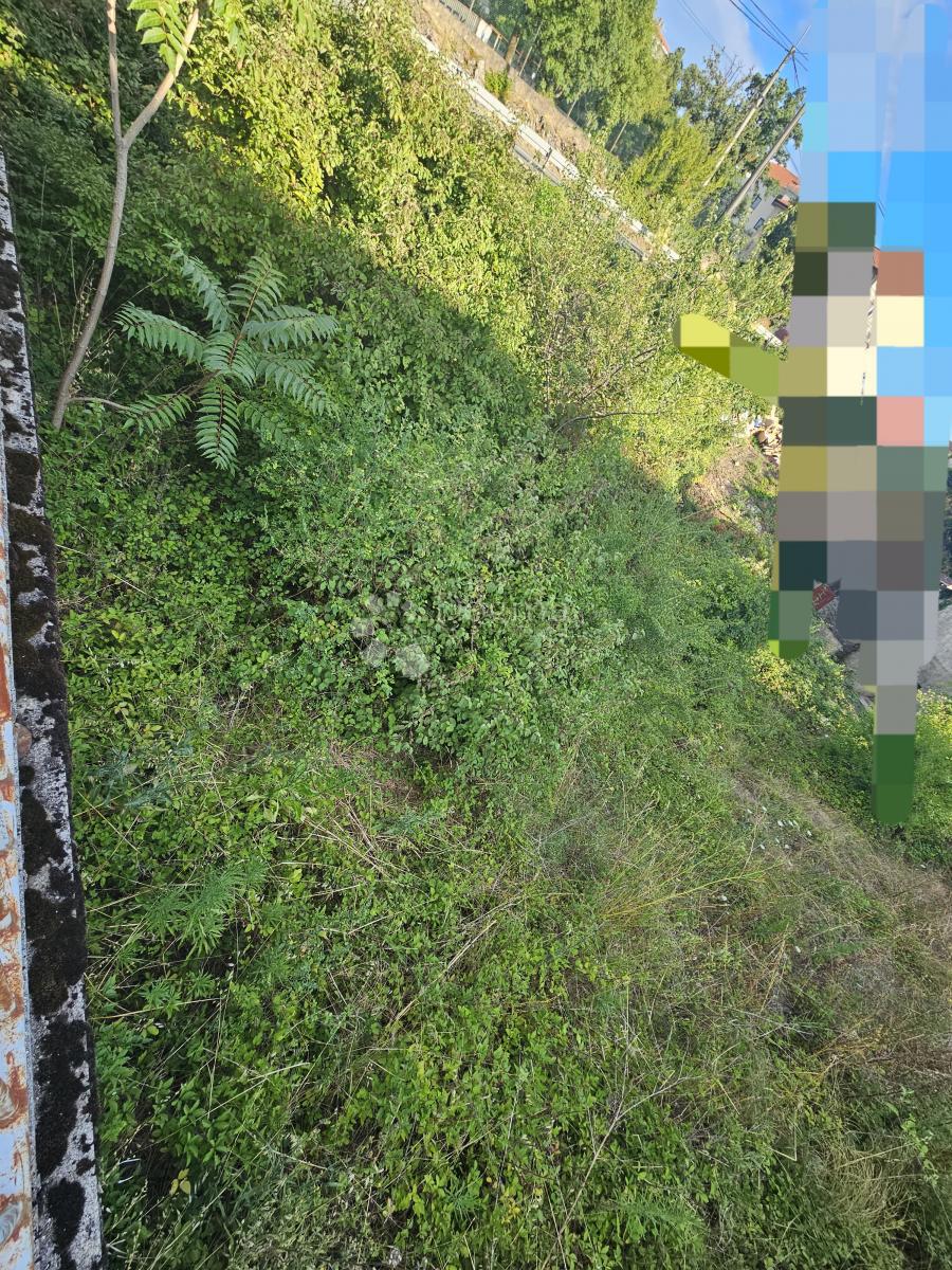 RUBEŠI