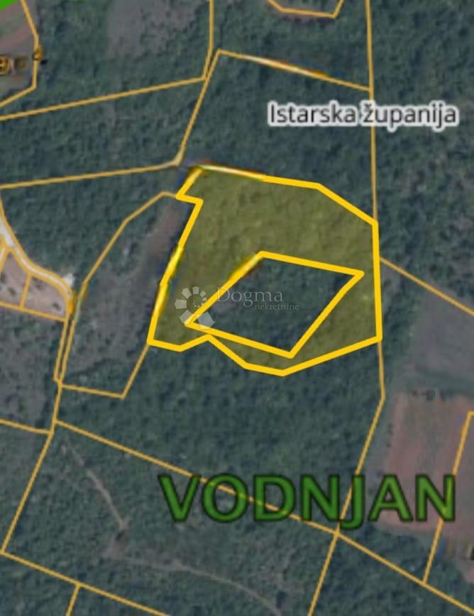 VODNJAN