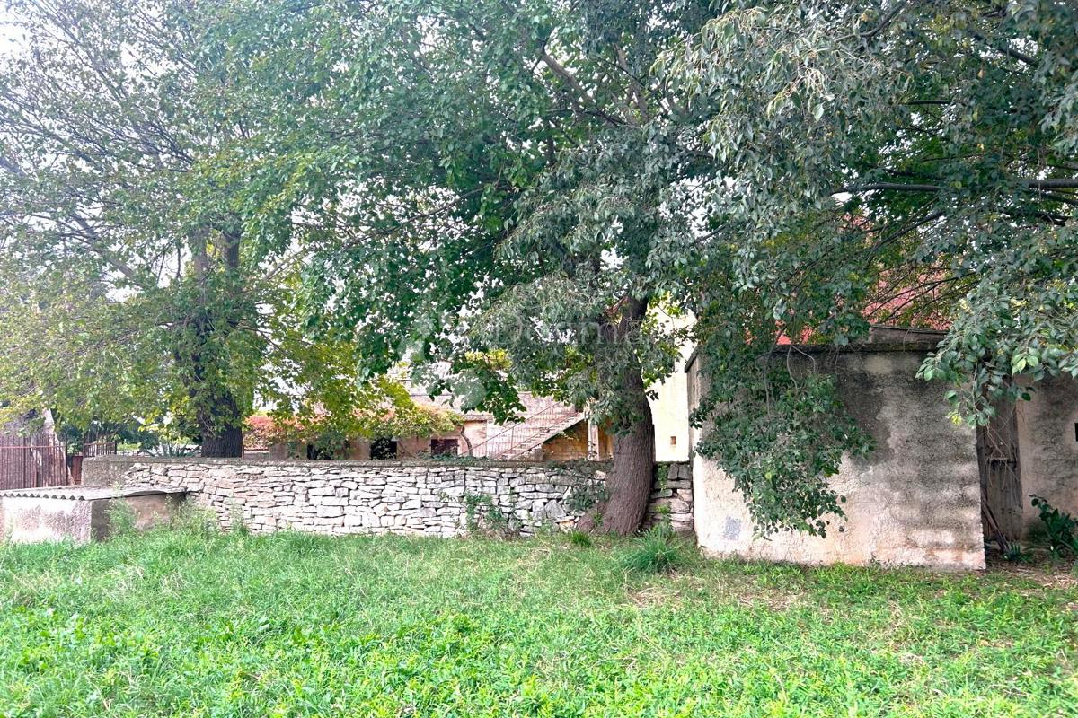 SVETVINČENAT
