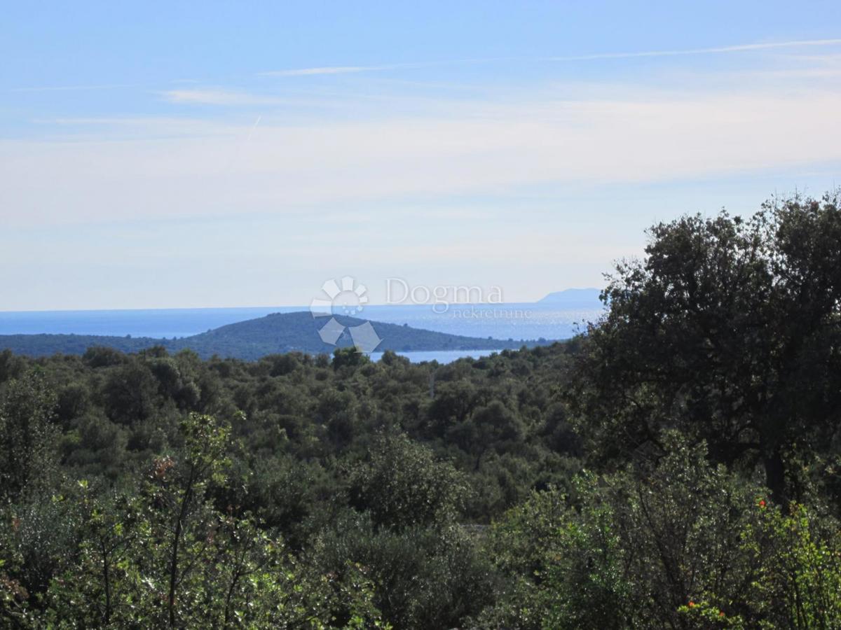 VINIŠĆE