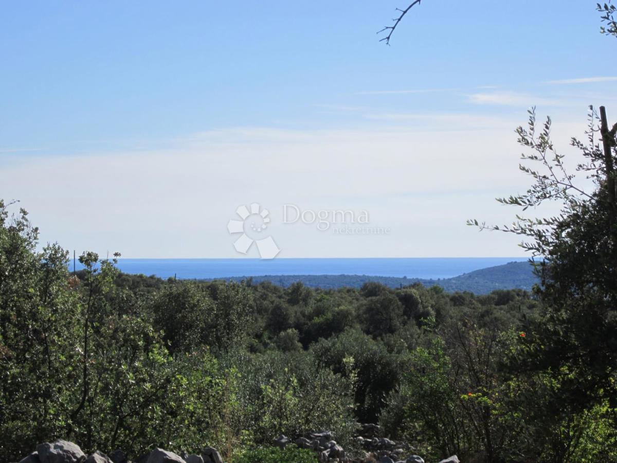 VINIŠĆE