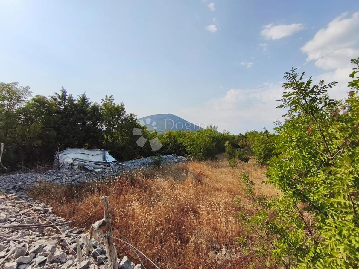 SEGET GORNJI