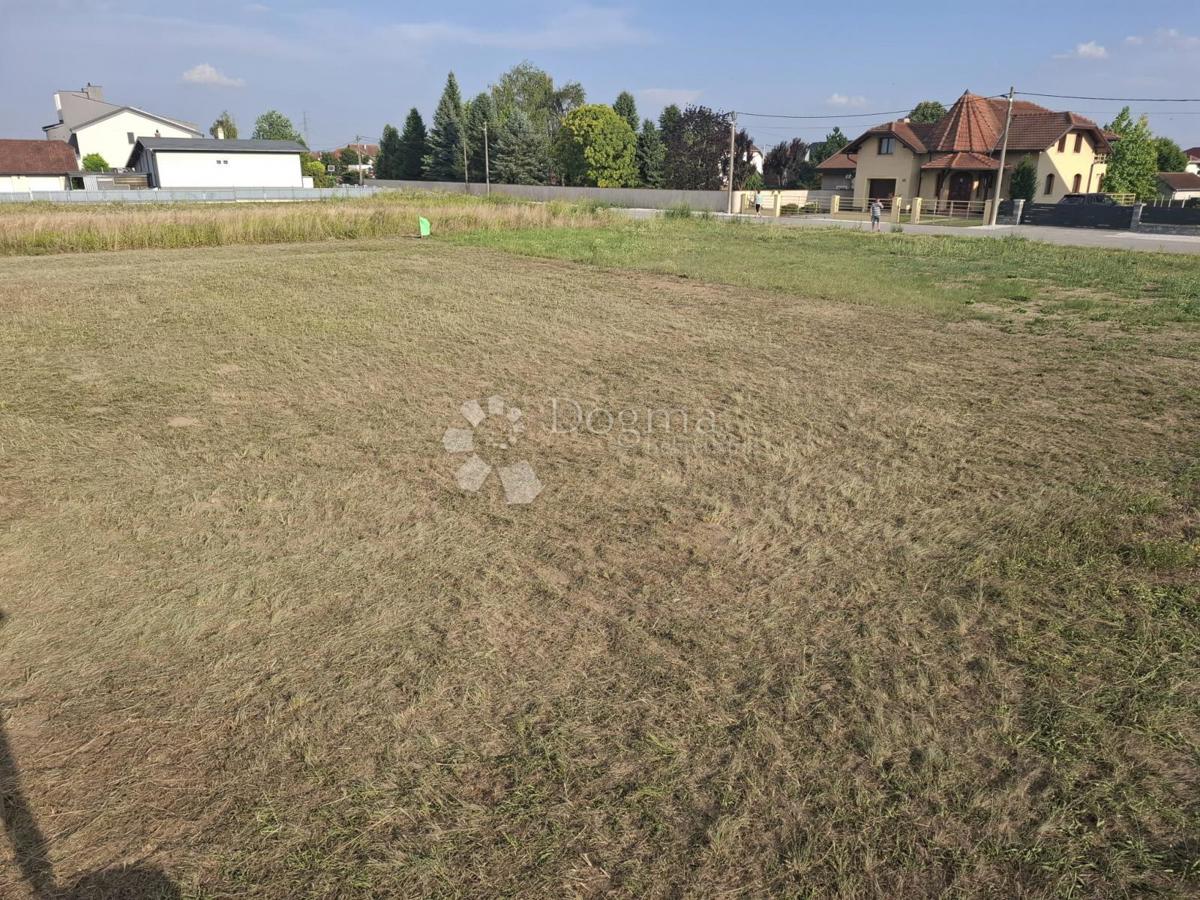 HRAŠĆICA