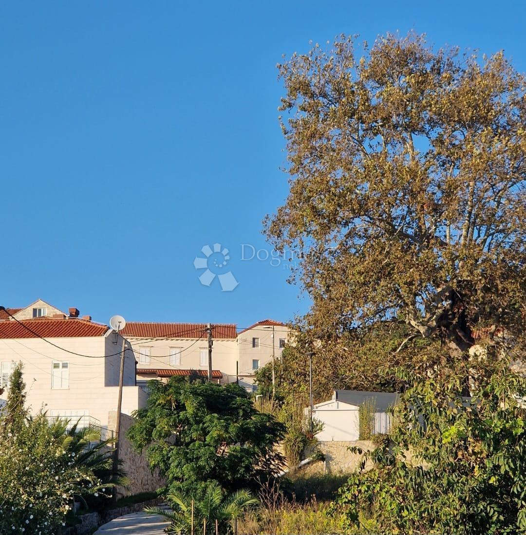 ORAŠAC