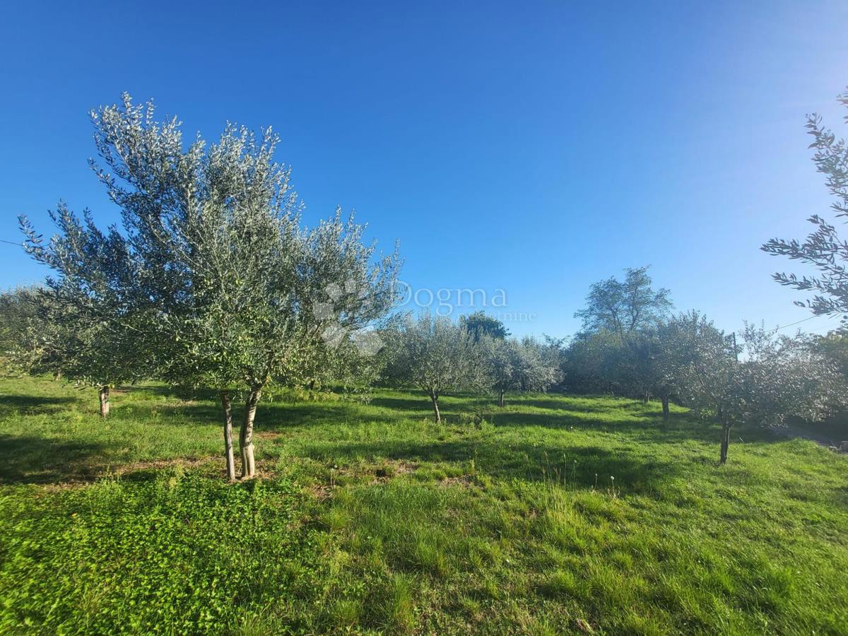 SVETI LOVREČ PAZENATIČKI