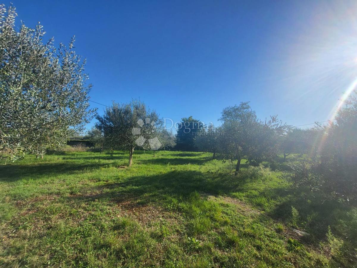 SVETI LOVREČ PAZENATIČKI