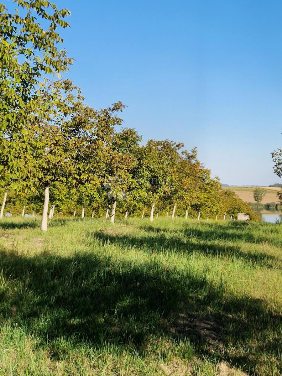 ĐAKOVO