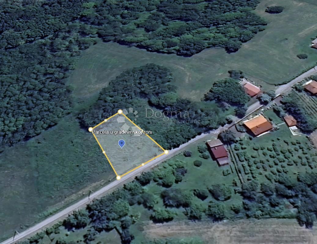 MAGLENČA