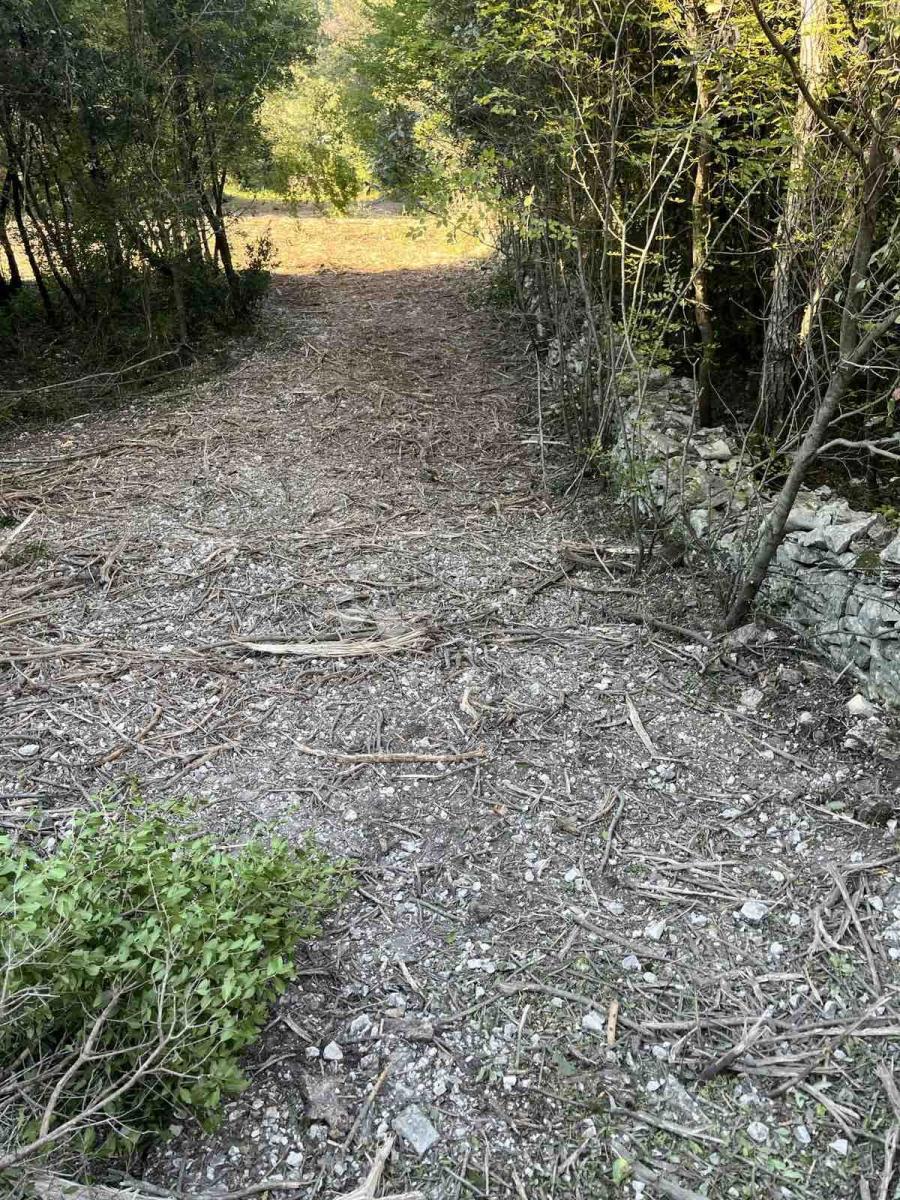 Terreno MARČANA, 50.000 €