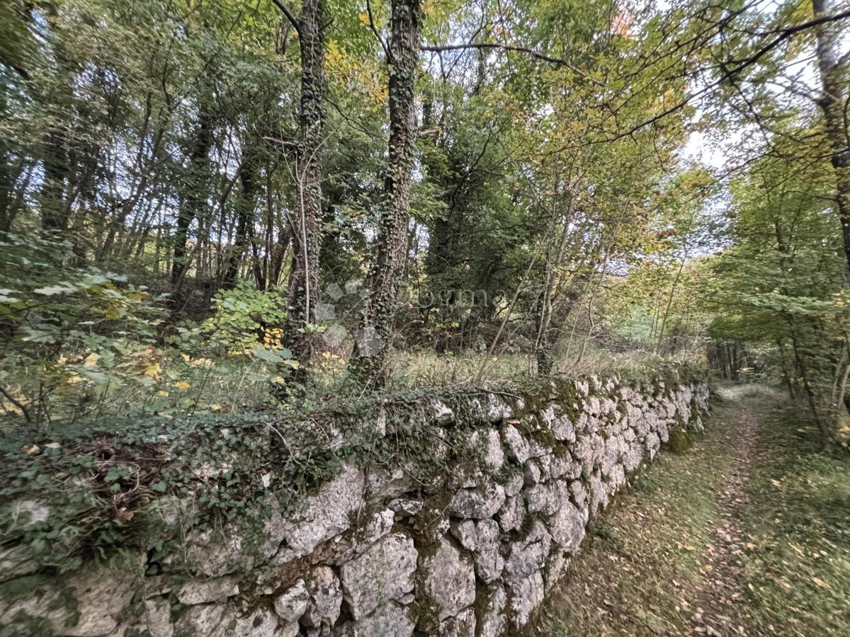 VEPRINAC
