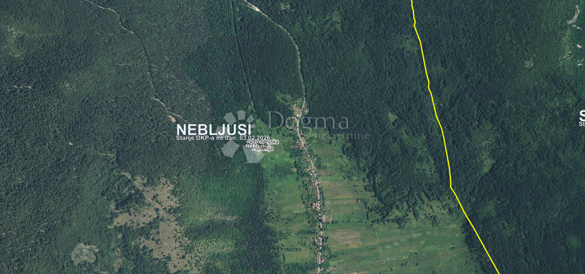 NEBLJUSI