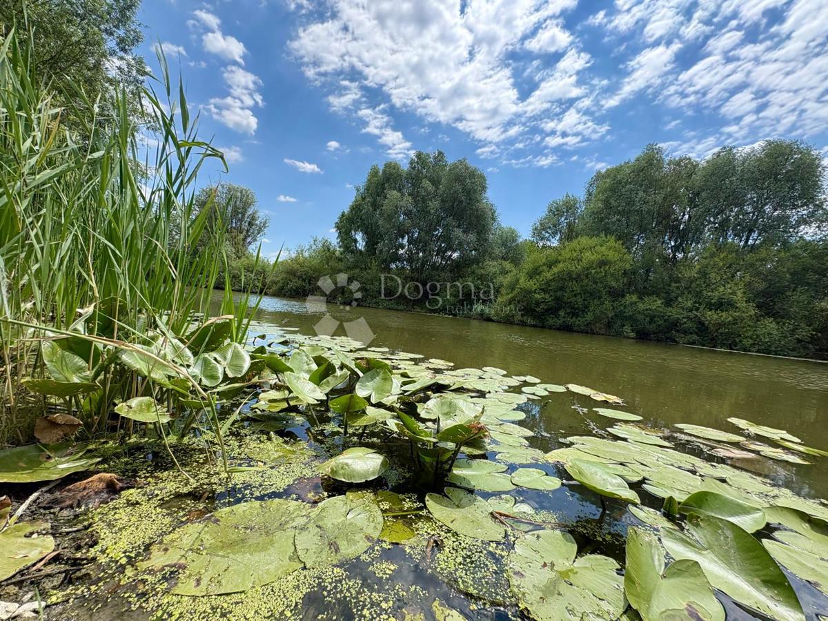 image 23