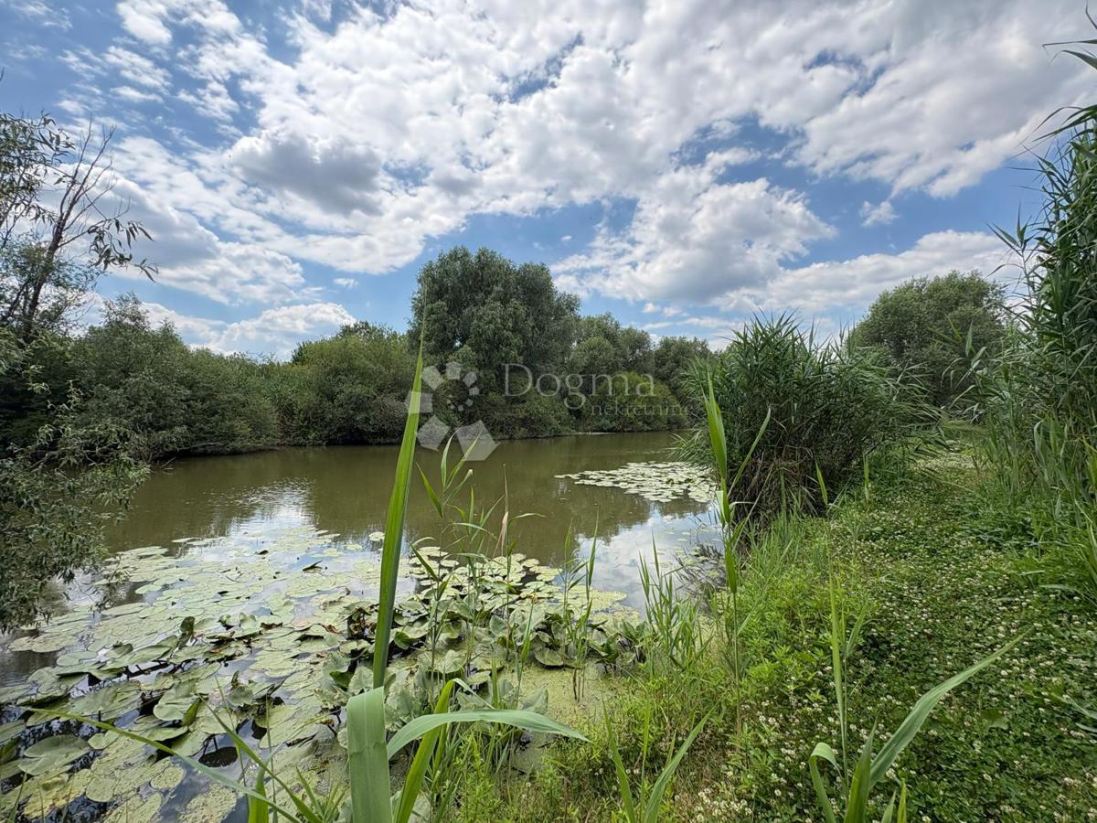 image 33