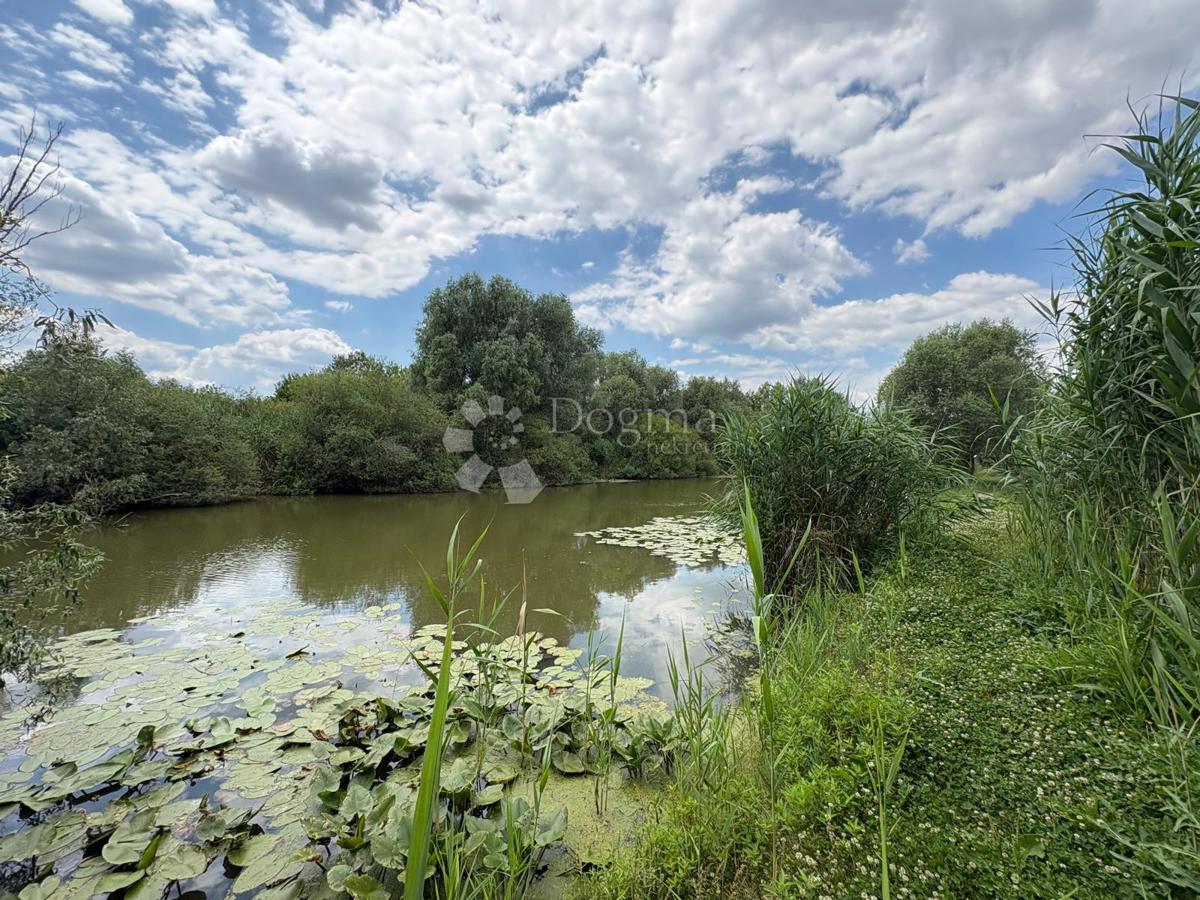 image 34