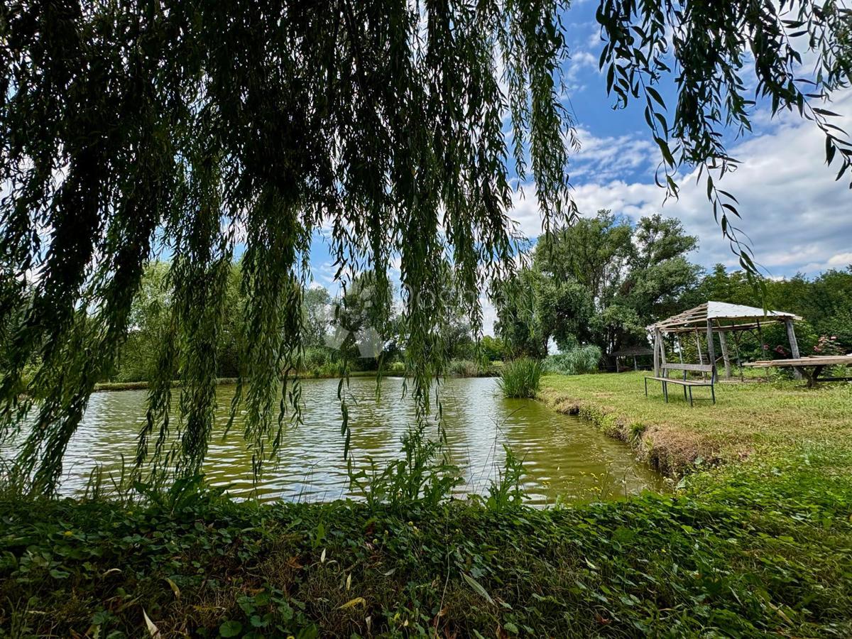 image 58