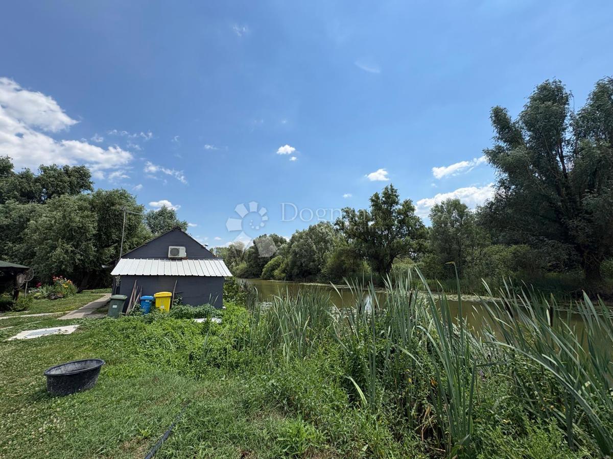 image 45
