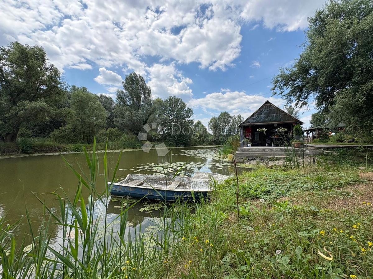 image 37