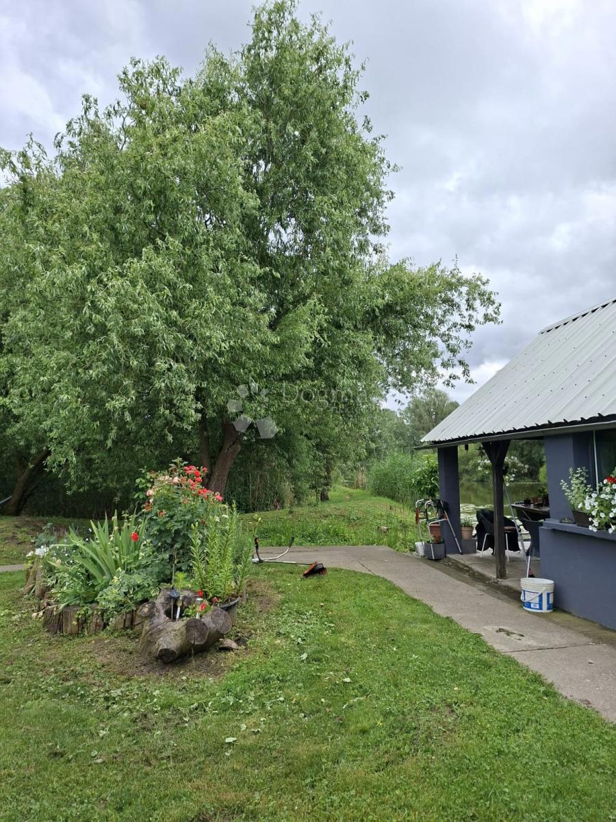 image 62