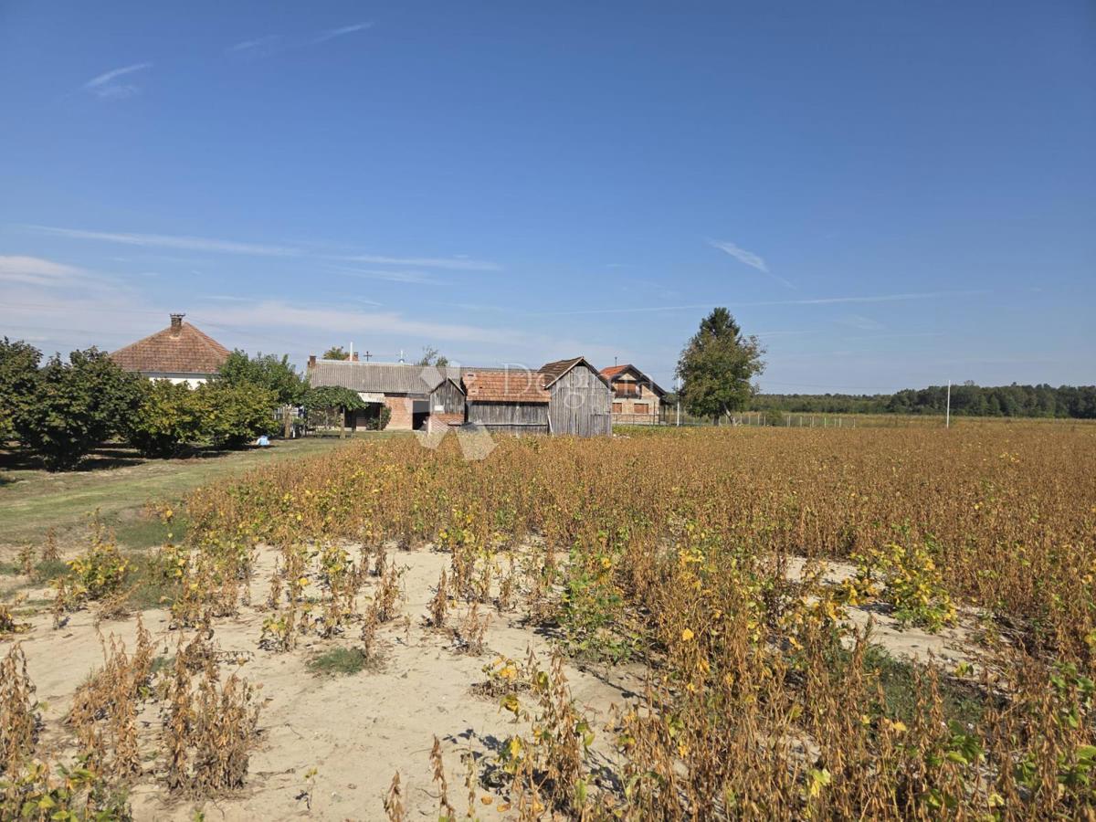 image 13