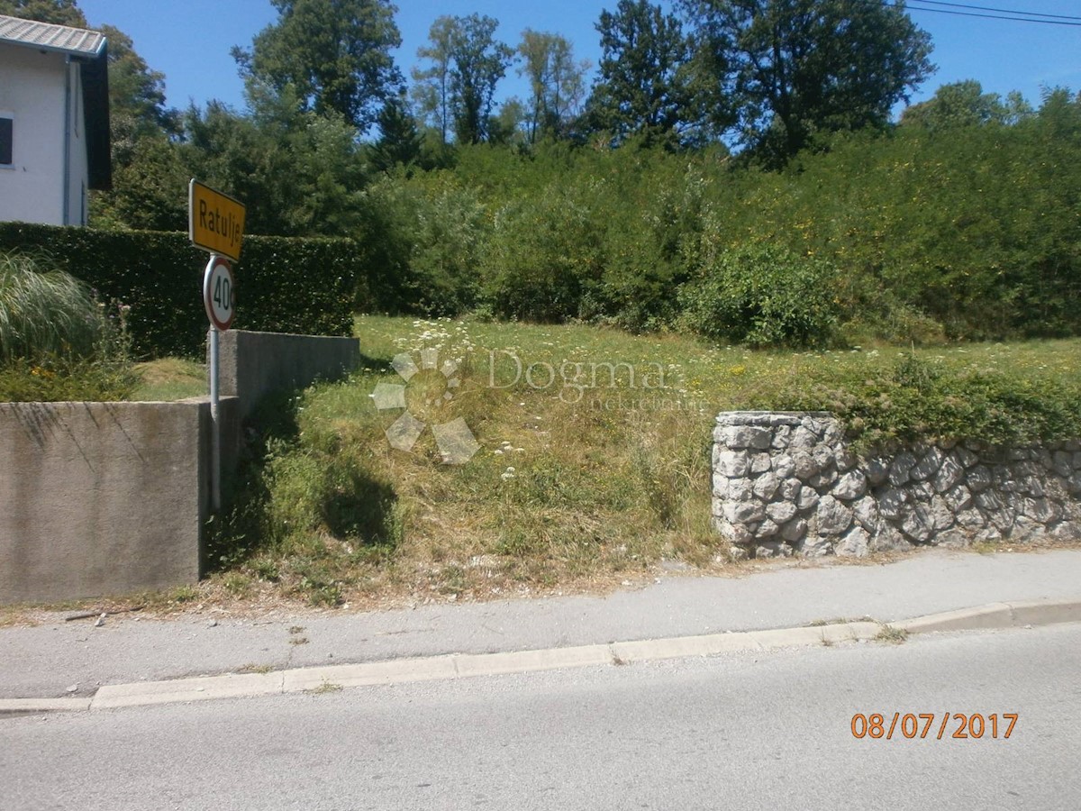 DRAŽICE