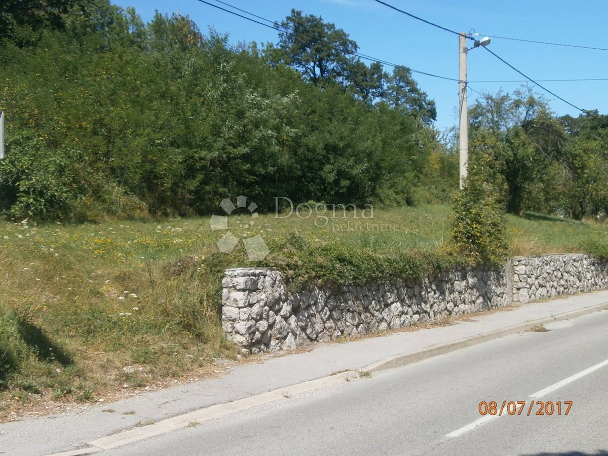 DRAŽICE