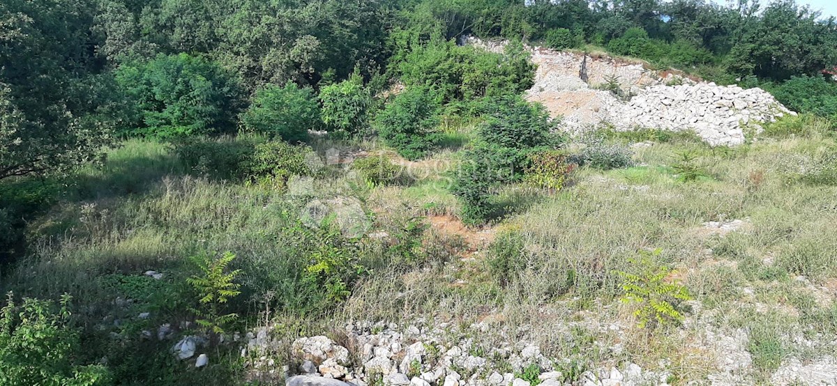 MATULJI