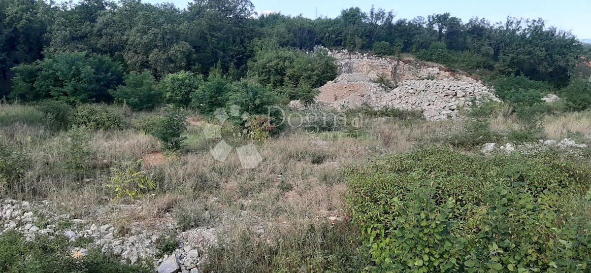 MATULJI