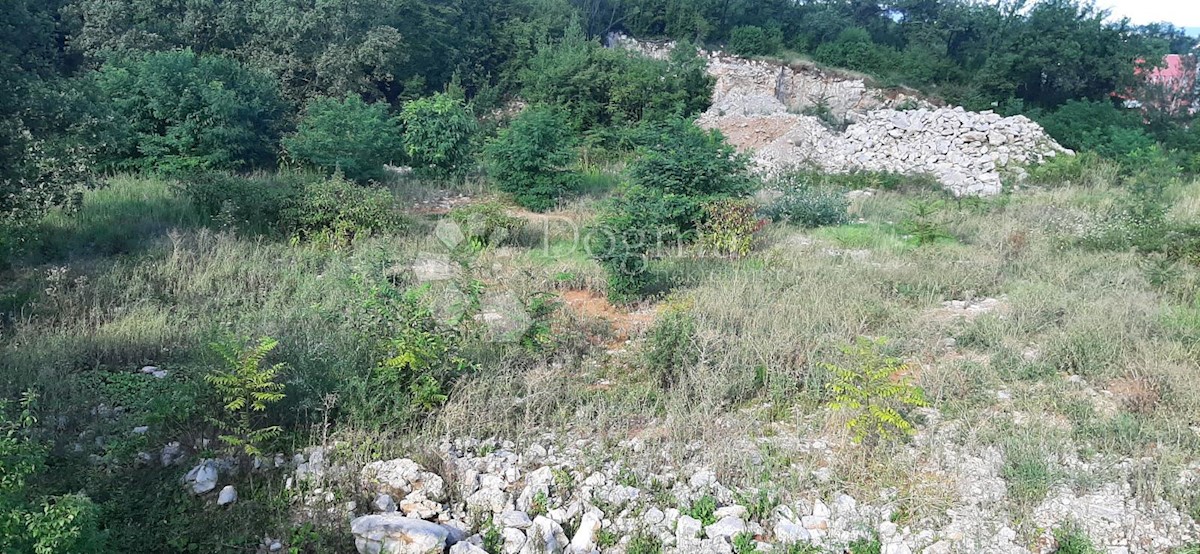 MATULJI