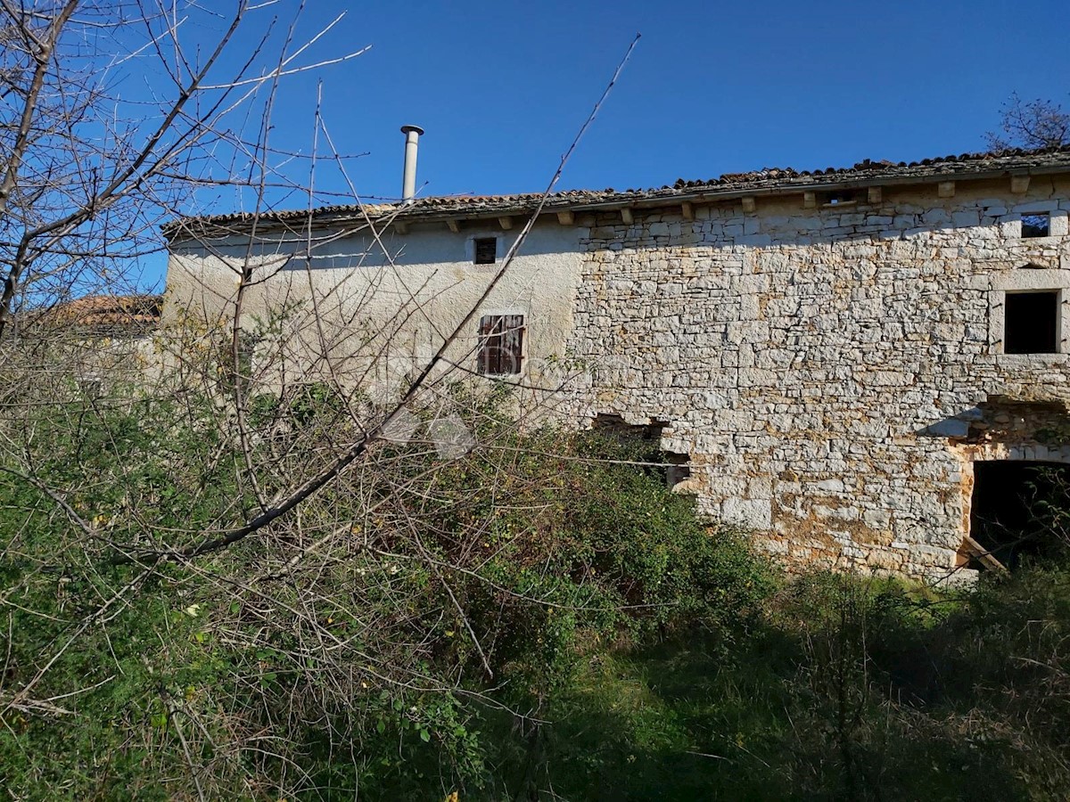 VODNJAN