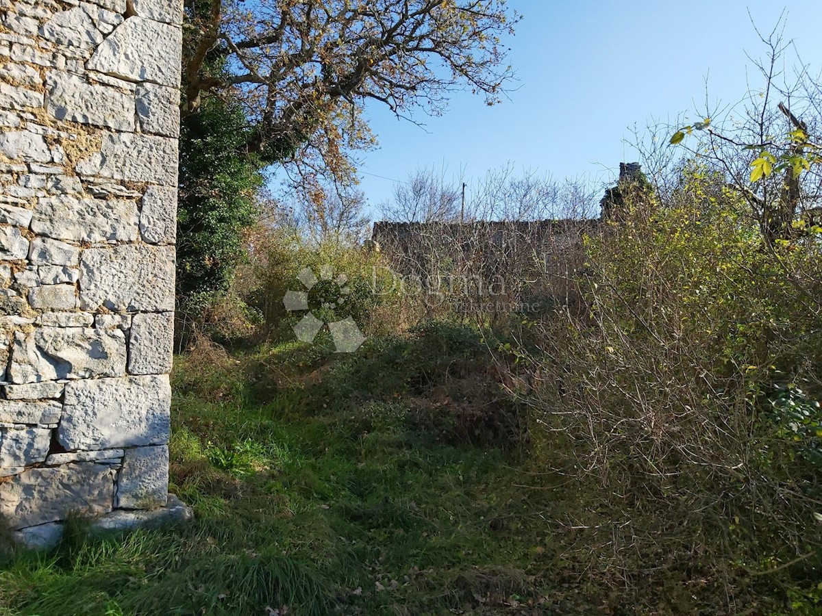 VODNJAN