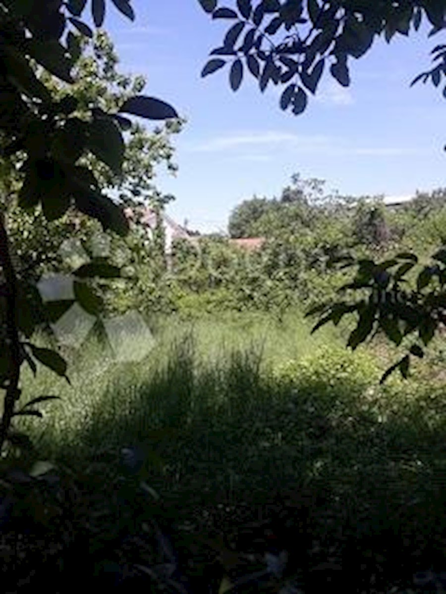 MARČELJI