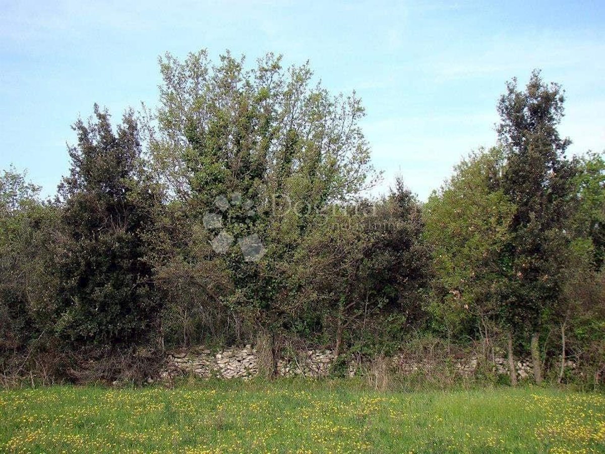 LIŽNJAN