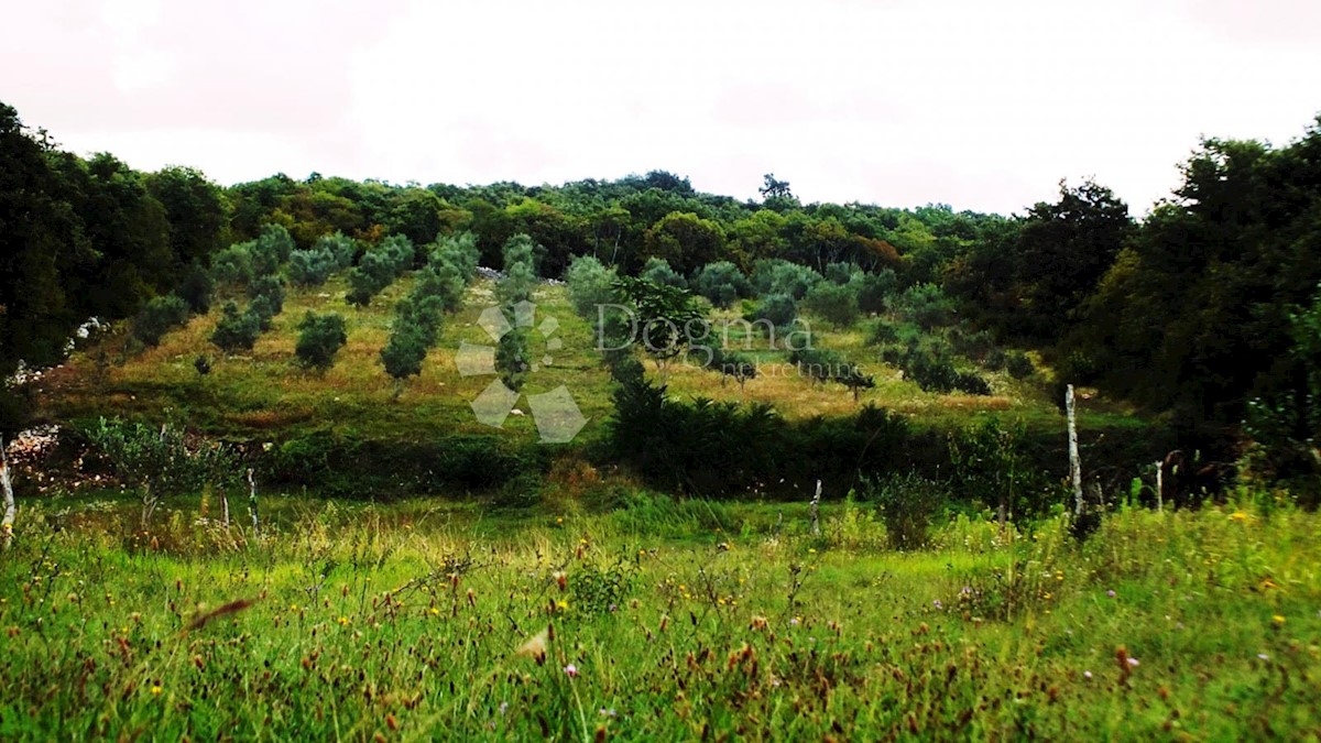ROVINJSKO SELO