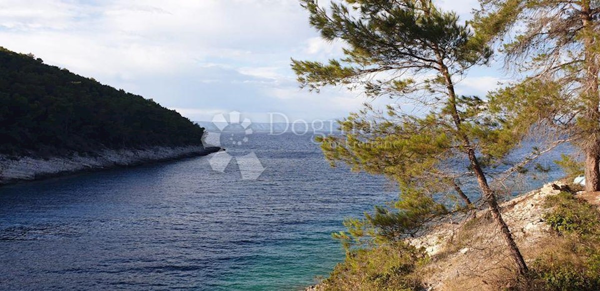 VELA LUKA
