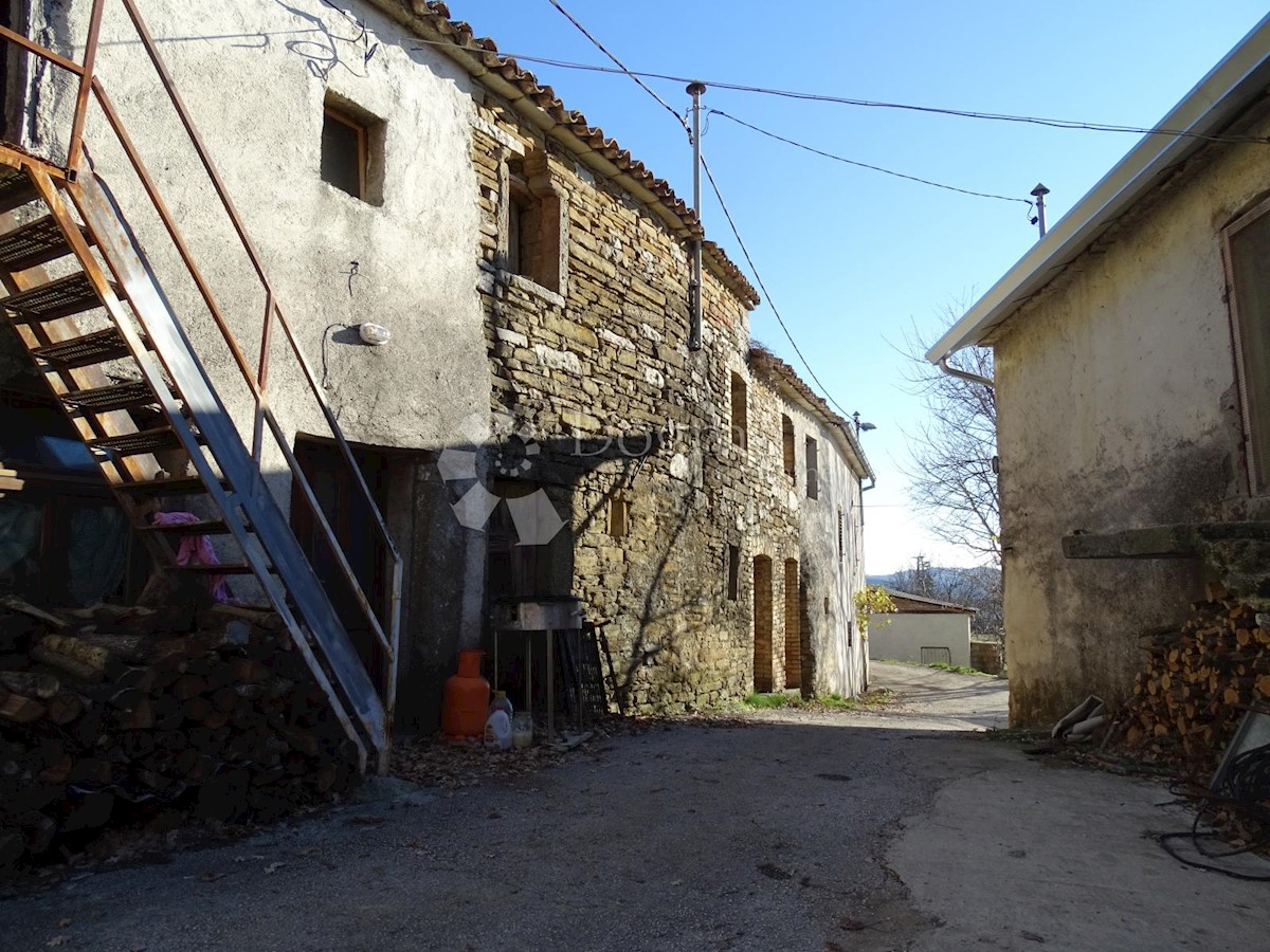 PENIČIĆI