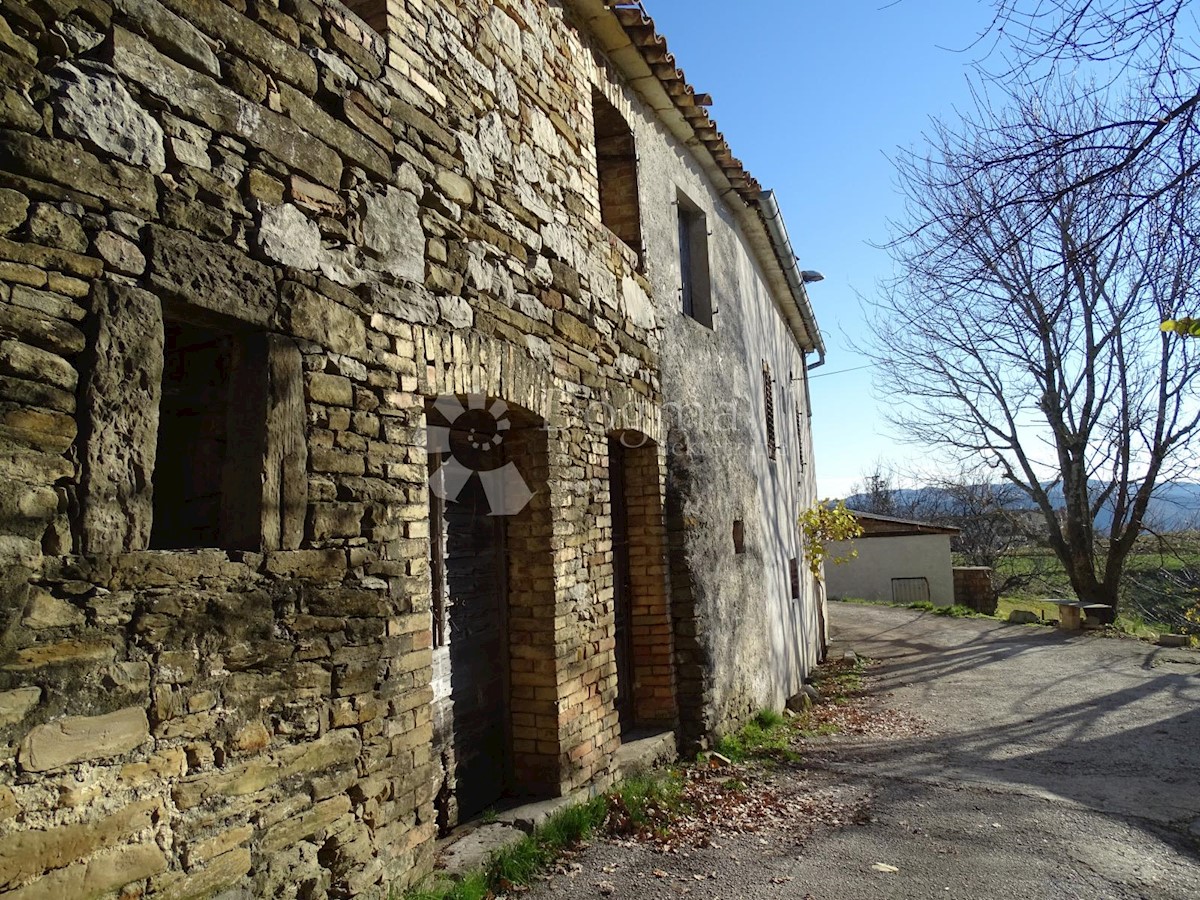 PENIČIĆI