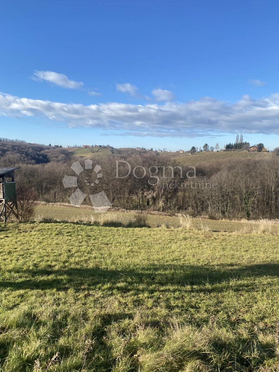 ŽELEZNA GORA