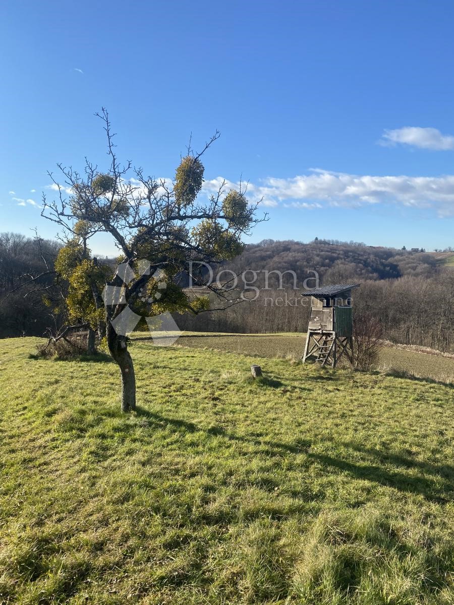 ŽELEZNA GORA